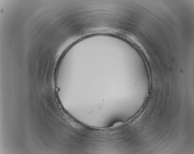 X0000068771328200605262156