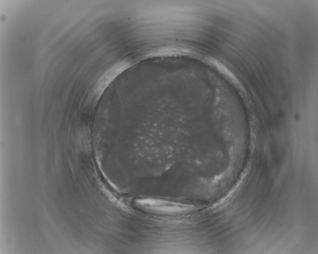 X0000068771329200605262156