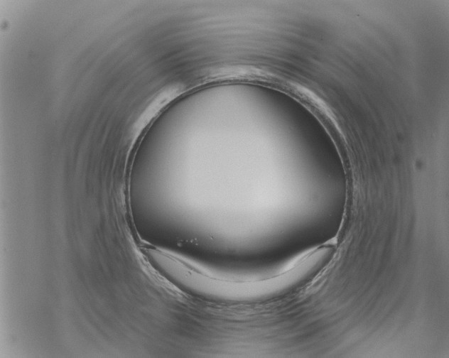 X0000068771330200605262156