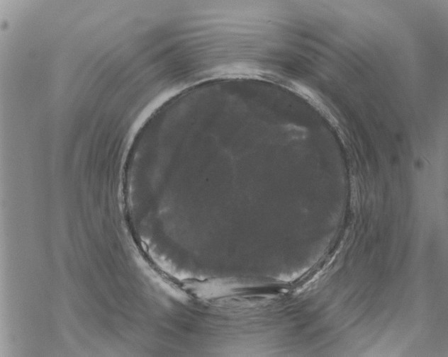 X0000068771331200605262156