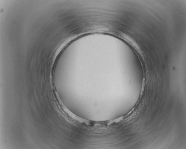 X0000068771332200605262156