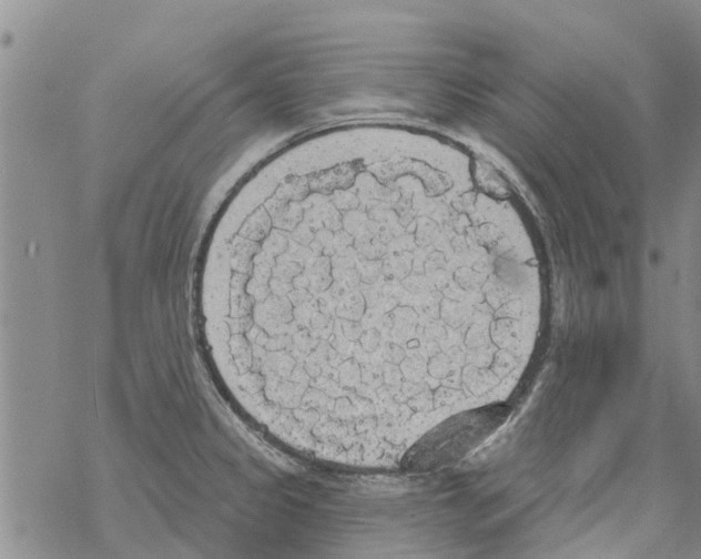 X0000068771333200605262156