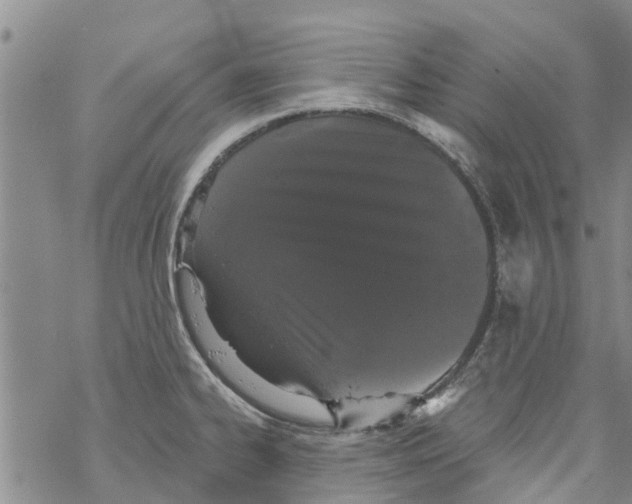 X0000068771334200605262156