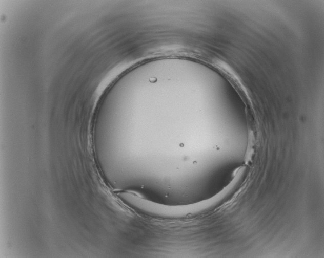 X0000068771336200605262156