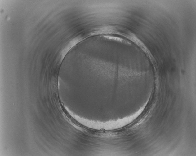 X0000068771337200605262156