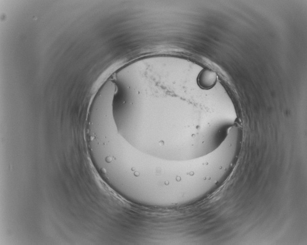 X0000068771338200605262156