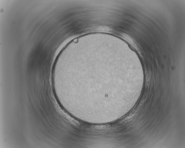 X0000068771339200605262156