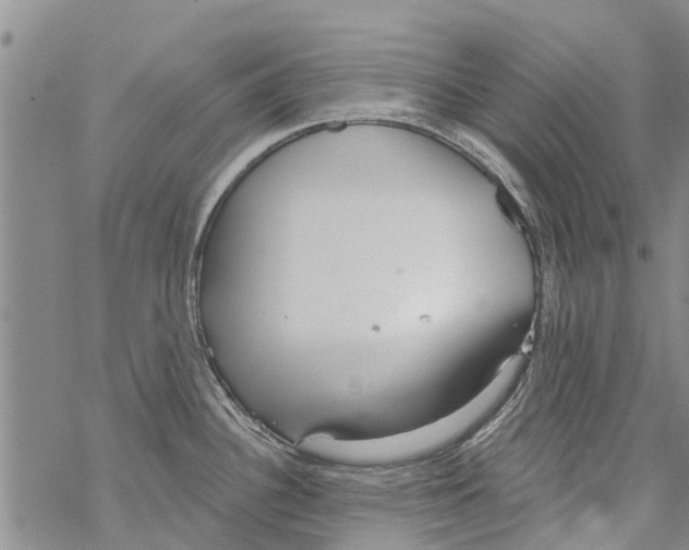 X0000068771340200605262157