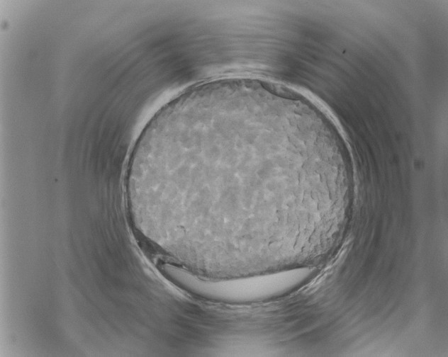 X0000068771341200605262157