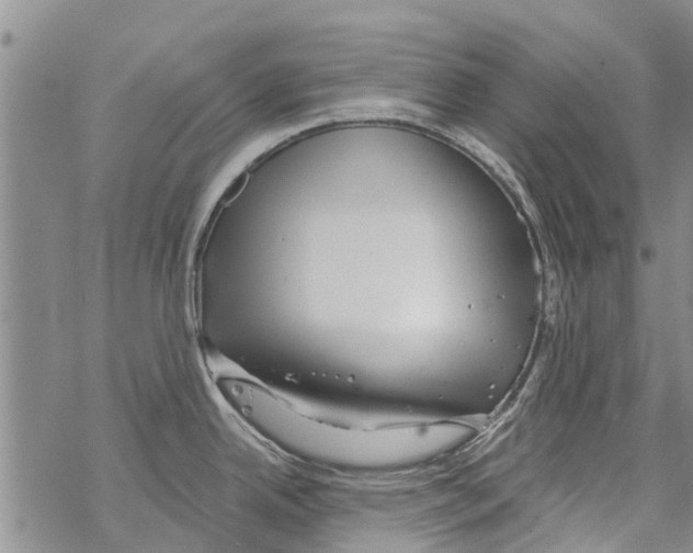 X0000068771342200605262157