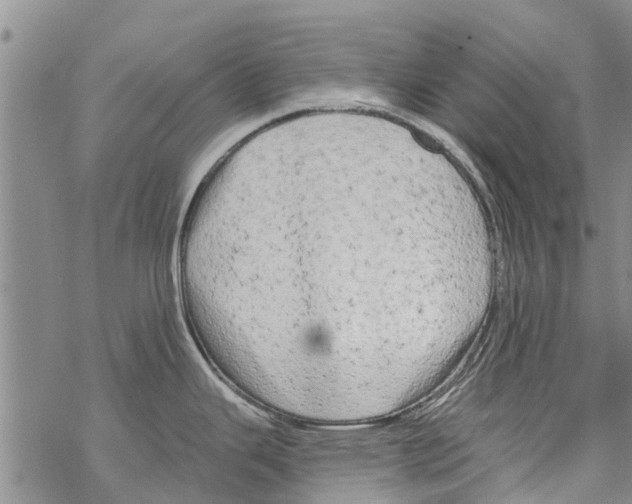 X0000068771343200605262157