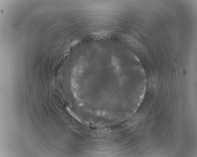 X0000068771346200605262156