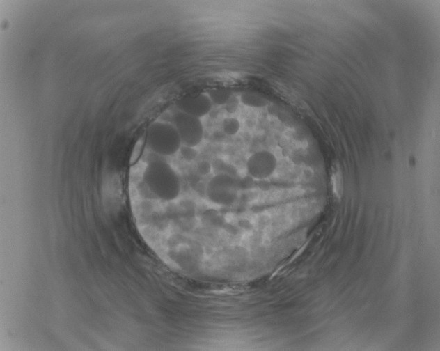 X0000068771347200605262156