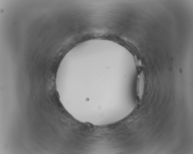 X0000068771349200605262156