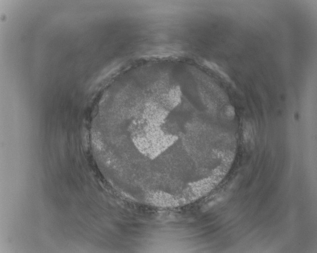 X0000068771350200605262156