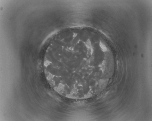 X0000068771351200605262156