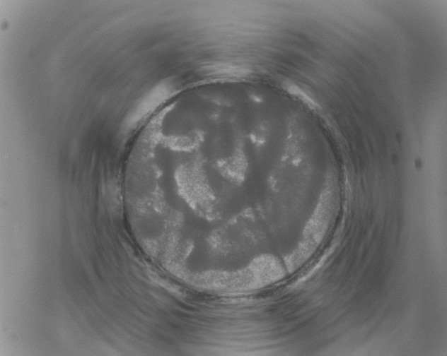 X0000068771354200605262156