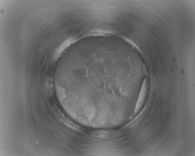 X0000068771355200605262156