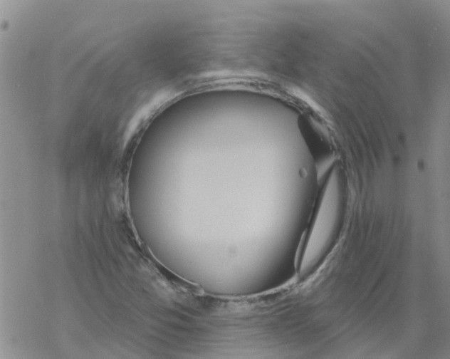 X0000068771357200605262156