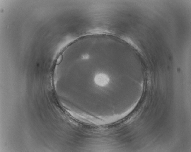 X0000068771358200605262156