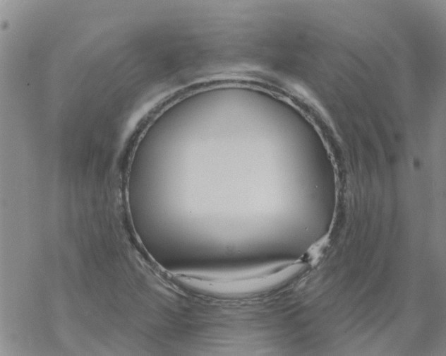 X0000068771360200605262156