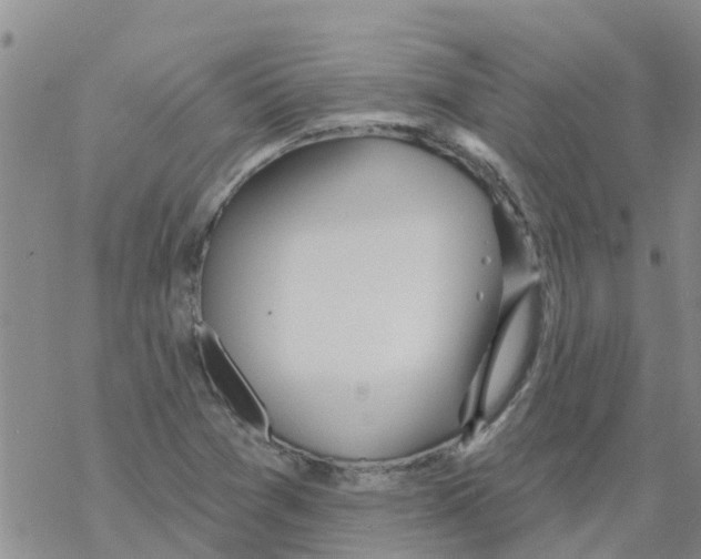 X0000068771361200605262156