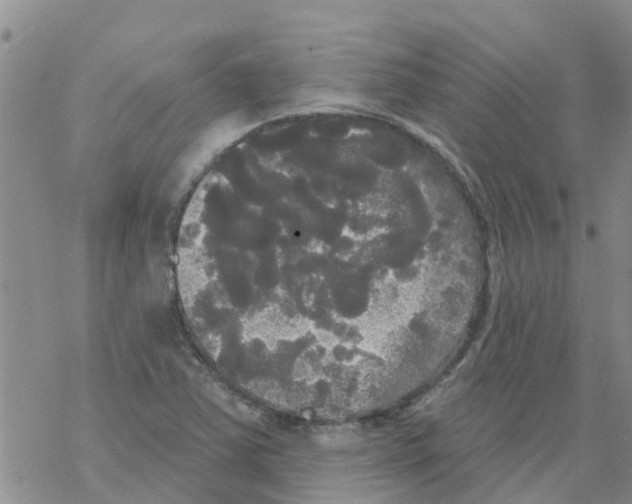 X0000068771363200605262156