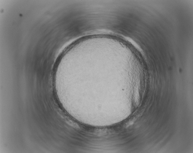 X0000068771364200605262155