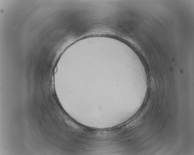 X0000068771366200605262155