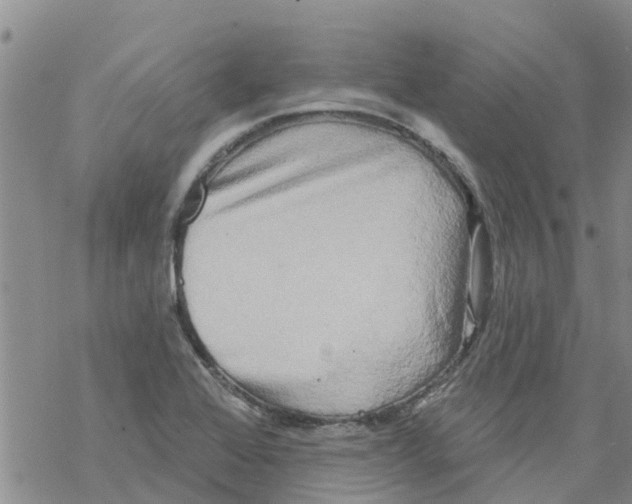 X0000068771368200605262155