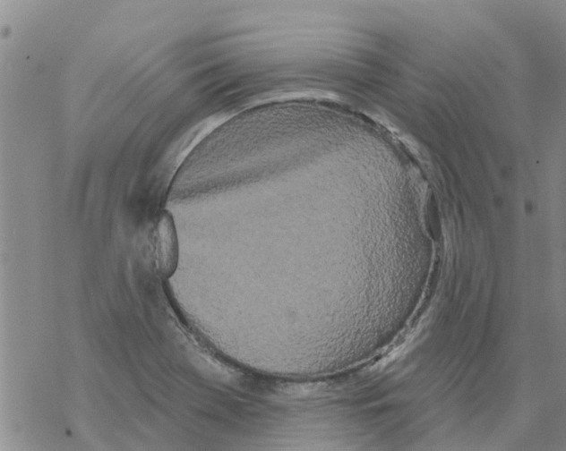 X0000068771369200605262155