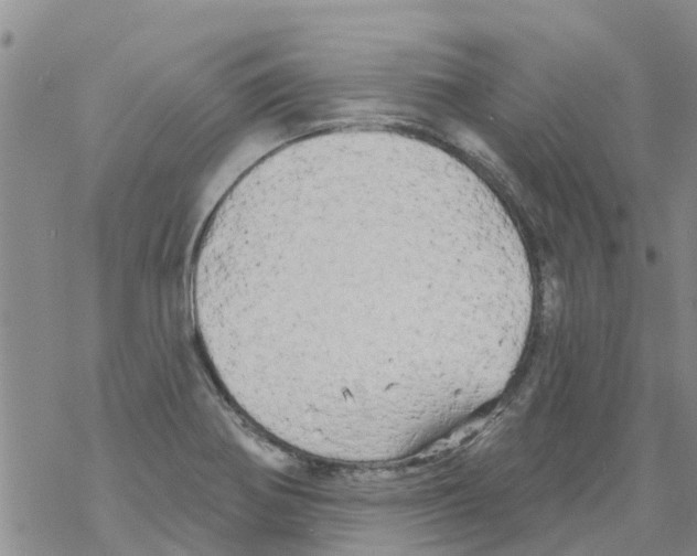 X0000068771370200605262155