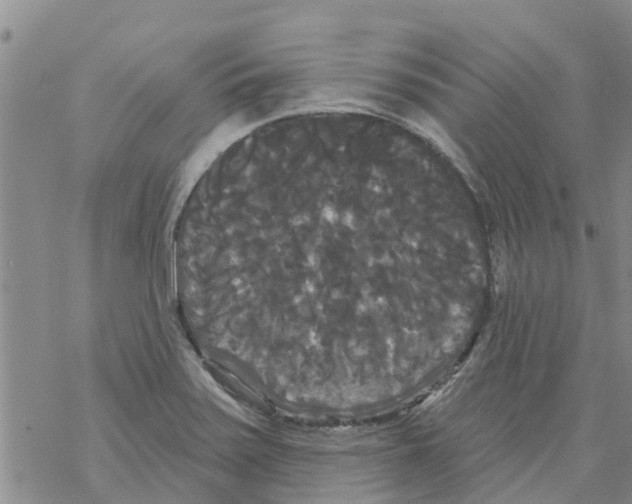 X0000068771371200605262155