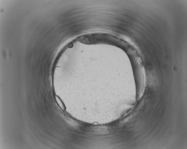 X0000068771372200605262155