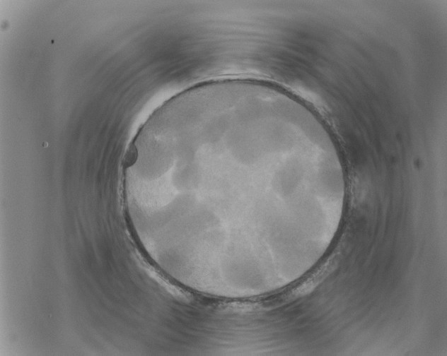 X0000068771374200605262155