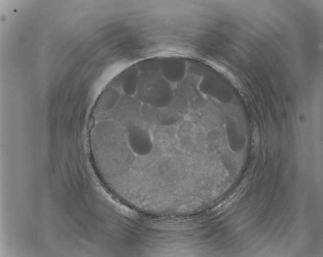 X0000068771375200605262155