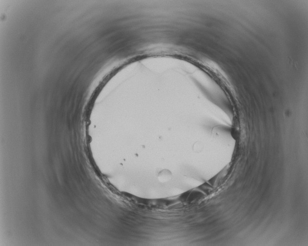 X0000068771376200605262155