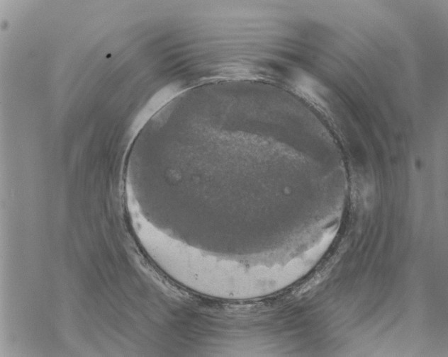 X0000068771378200605262155