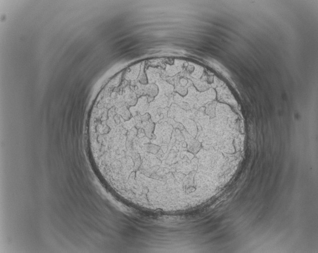 X0000068771379200605262155