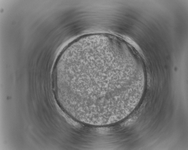 X0000068771380200605262155