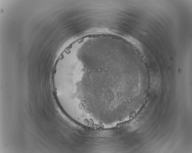 X0000068771382200605262155