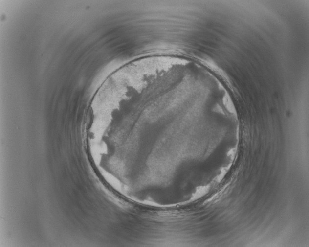 X0000068771383200605262155