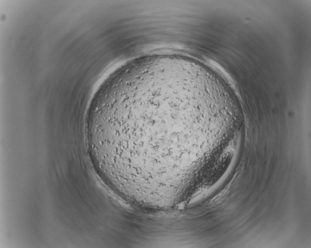 X0000068771384200605262155