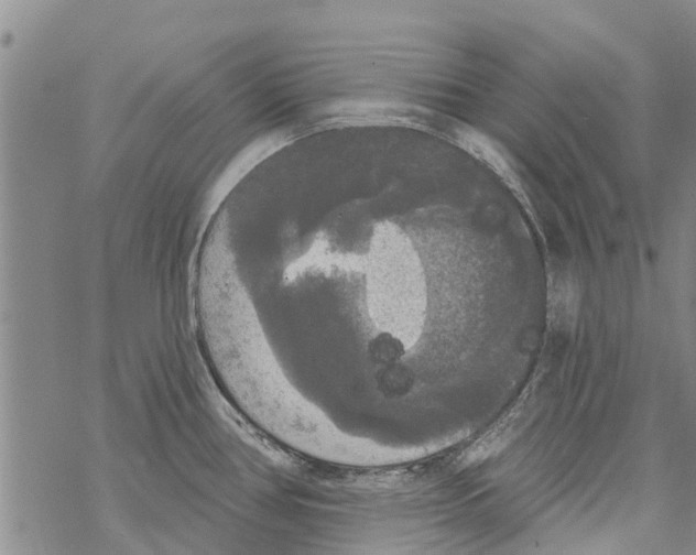 X0000068771386200605262155