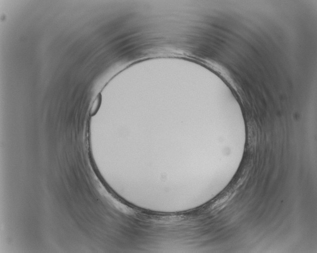 X0000068771387200605262155