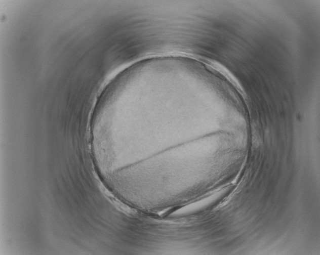 X0000068771388200605262155