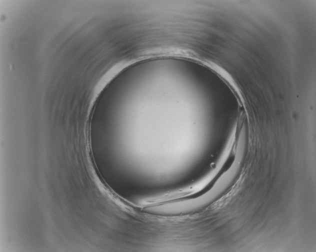 X0000068771389200605262155