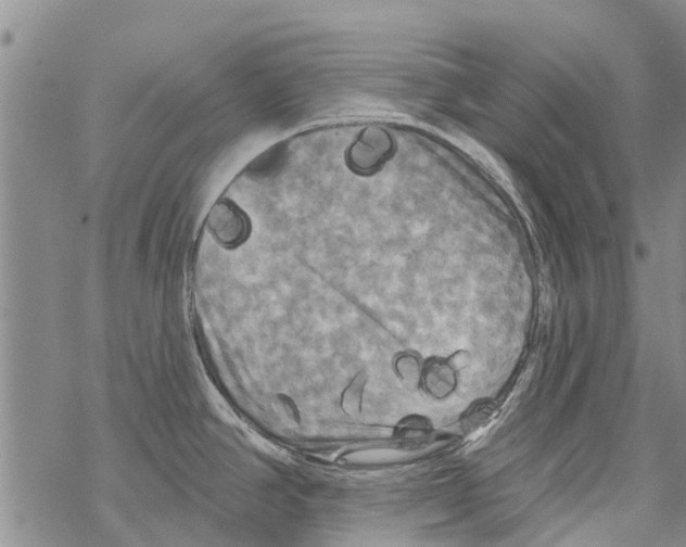 X0000068771390200605262155