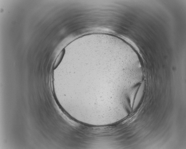 X0000068771391200605262155