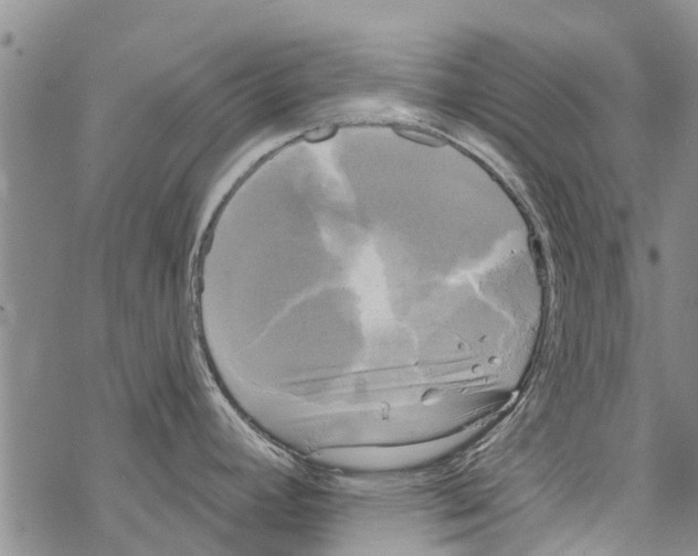 X0000068771392200605262155